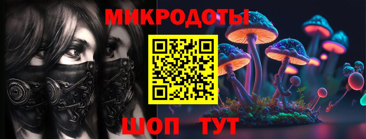 Галлюциногенные грибы Psilocybe  Галлюциногенные грибы Cubensis  Выборг  Вход с VPN 