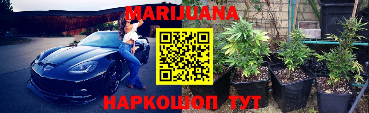 Канабис план  Шишки марихуана Bruce Banner  Каннабис ГИДРОПОН  Вход с VPN  Выборг 